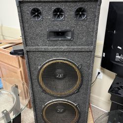 Speaker 