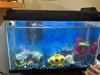 Complete 29 Gallon Aquarium Setup-Fully Loaded!