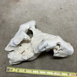 Texas Holey Rock Aquarium Hardscape - Priced Per Pound