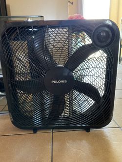 Fan