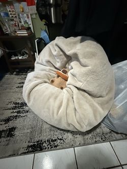bean bag