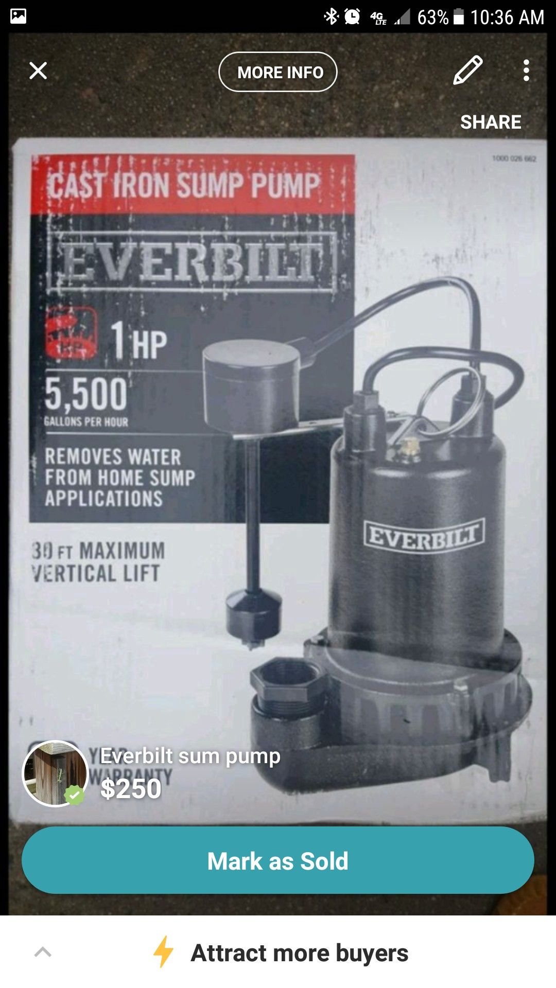 Everbilt sump pump