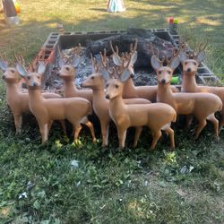 Set Of 8 Deer Blow Molds 