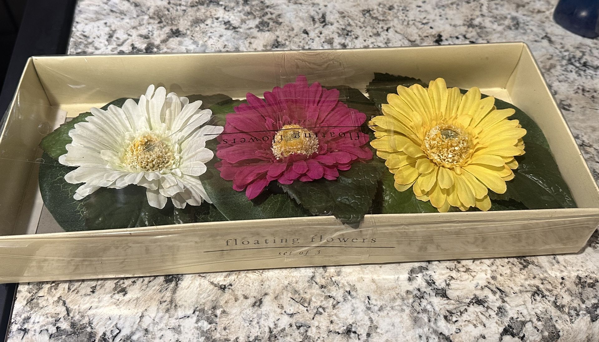 Pier 1 Set of 3 Floating Flowers NIB