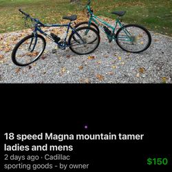 18 speed Magna mountain tamer ladies and mens