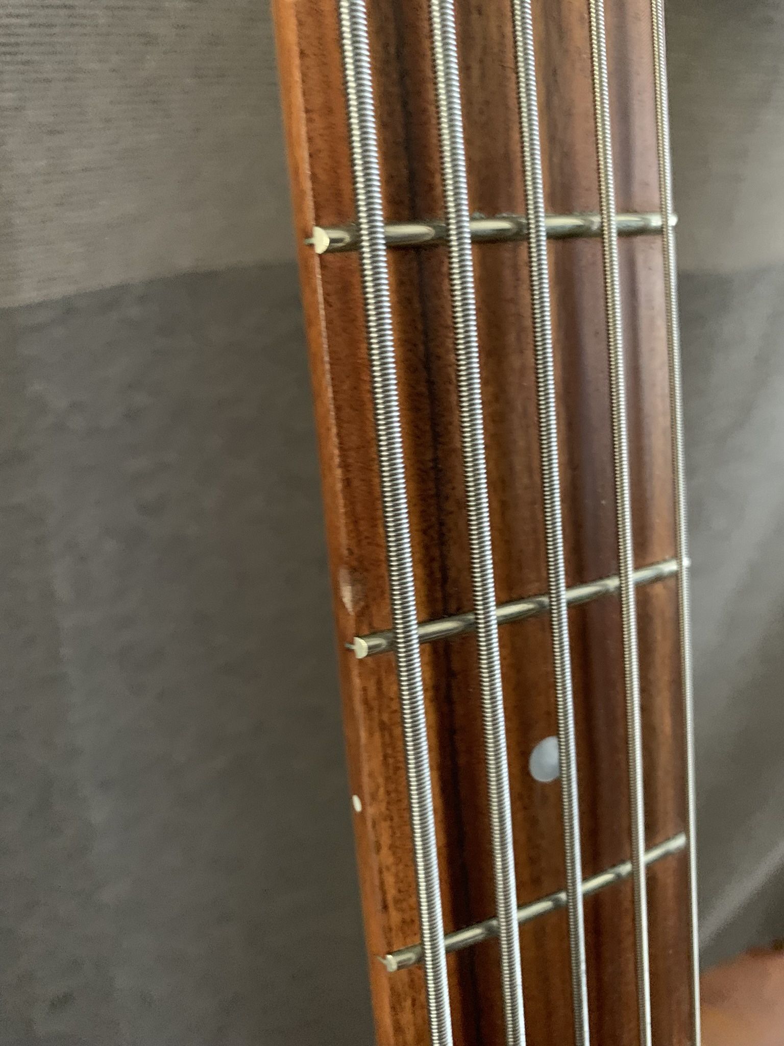 Warmoth 5 String Jazz Bass