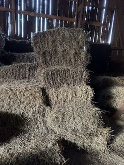 Garden hay