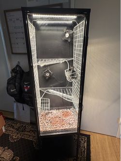 FS: Ikea Rudsta converted greenhouse