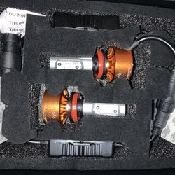 Headlight Bulbs