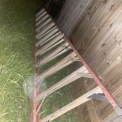 12ft Ladder