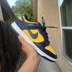 Nike Dunk Low Michigan 