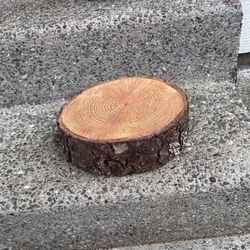15 Wood Slices 