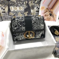The Timeless 30 Montaigne of Dior Bag