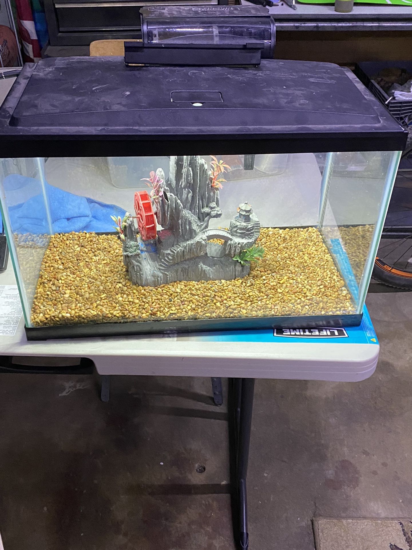 Fish Tank Aquarium 10 Gallon Complete Set Up