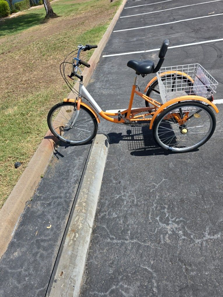 Schwinn Trike