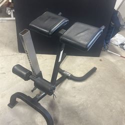 Hoist Roman Chair Back Extension Adjustable Workout Machine Glute Builder