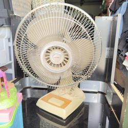 Vintage Tatung Deluxe HI-Torque 3 Speed Oscillating Fan For Sale!