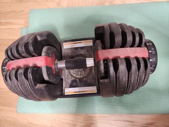 Bowflex dumbbells