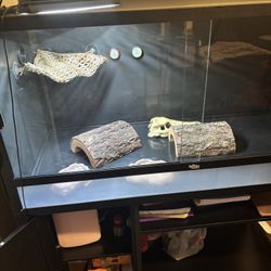 Full bearded dragon tank setup. Tank & Stand can be sold separate!! 