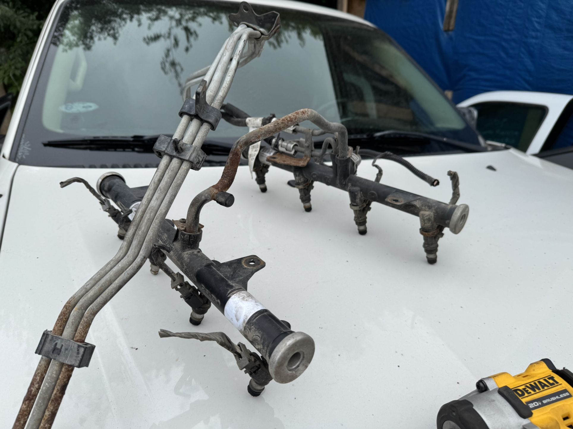 V8 4.8 Delphi Fuel Injectors With Rail From 2000 GMC Sierra