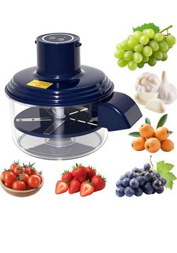 Electric Food Chopper with Clear Bowl