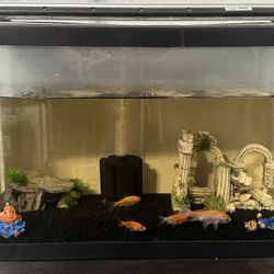 ten gallon fish tank and five gold fish