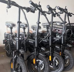 Electric Bike