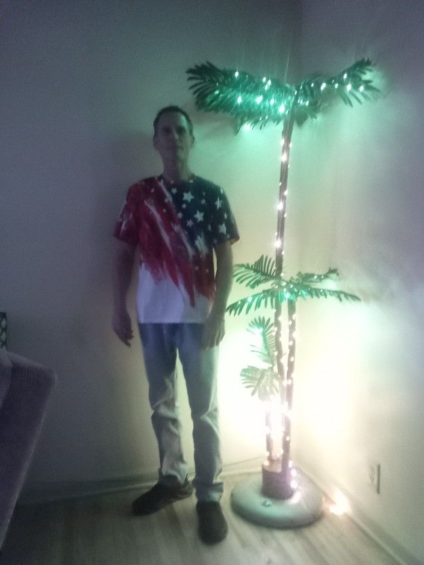 6 Foot 4 Foot 2 Foot Lighted Palm