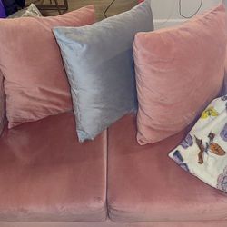 Cozy Blush Pink Sofa and Loveseat Set 