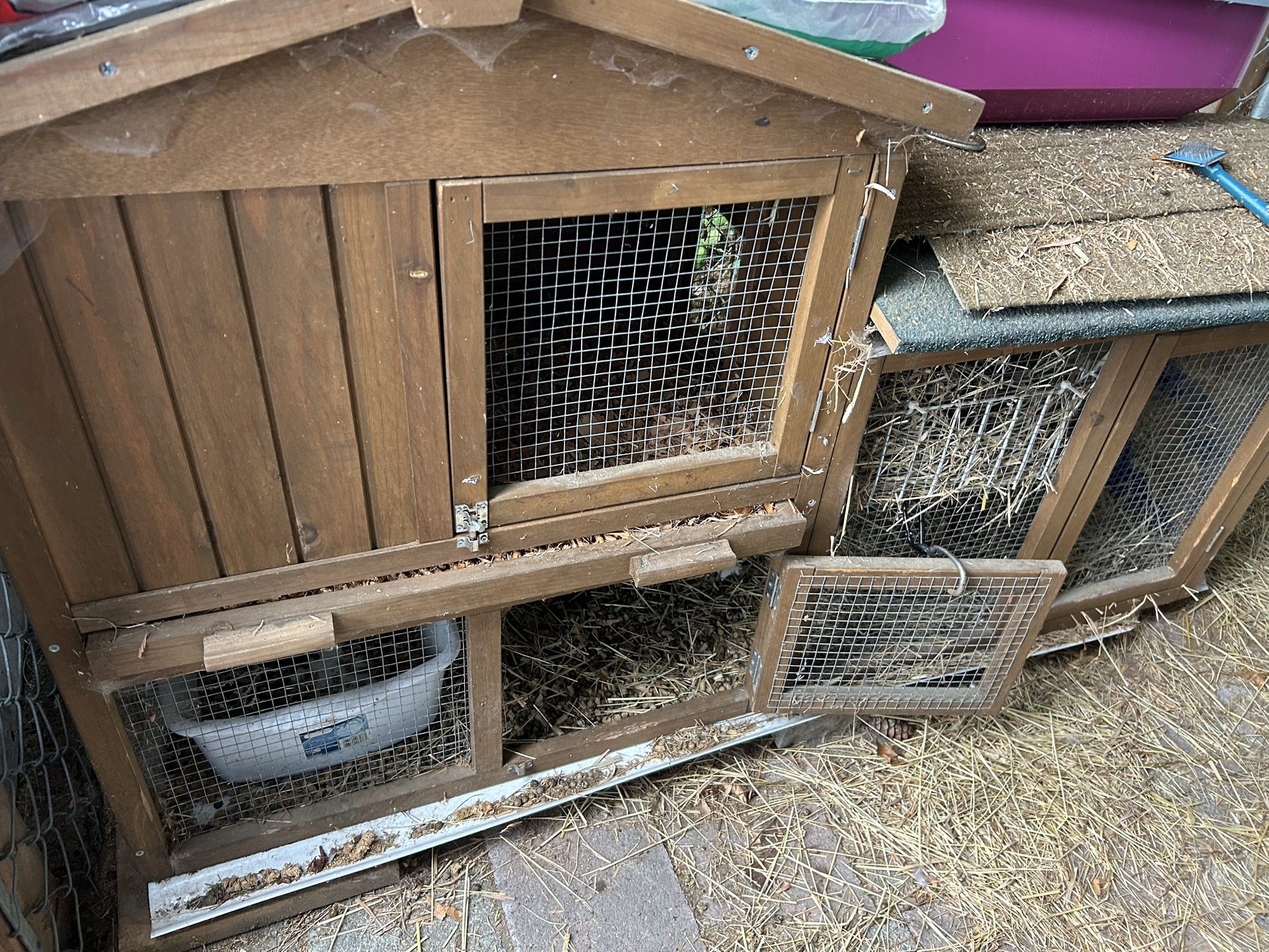 Rabbit Or Chicken House