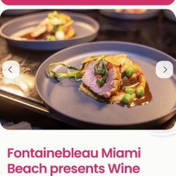 FountainBleau Food And Wine Miami Beach 