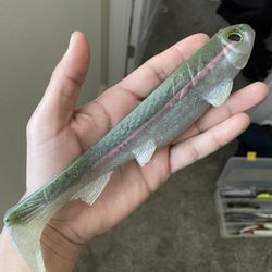 3:16 8” Weedless Swimbait Trout 