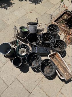 Free orchid hanging pots