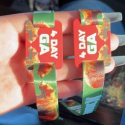 4 DAY GA WEEKEND]
