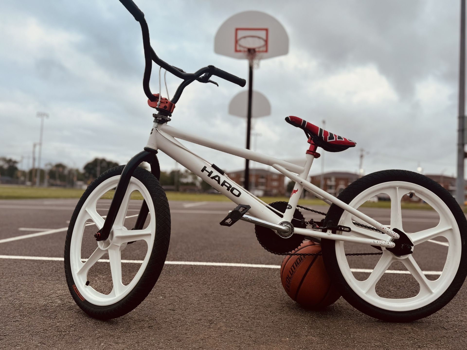 Haro Shredder Custom