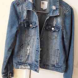 RSQ Denim Jacket