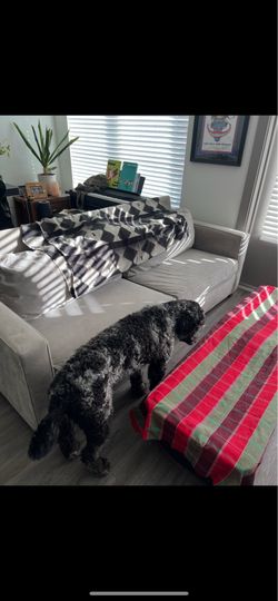 COUCH