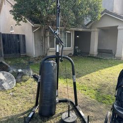 Punching Bag Fast Bag 