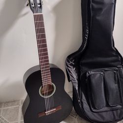 Ortega acoustic guitar  