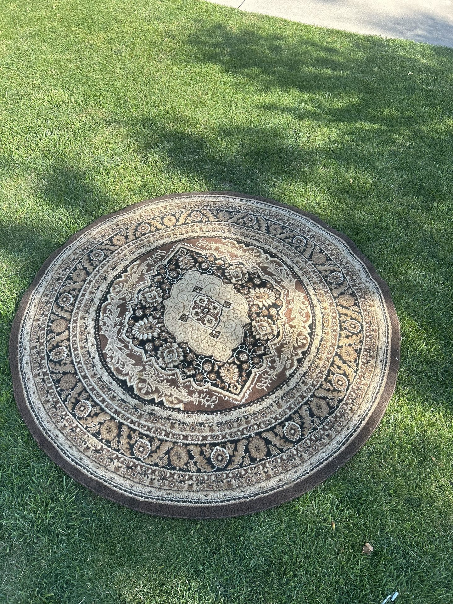 new rug