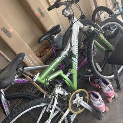 Mongoose Mountain Bike 
