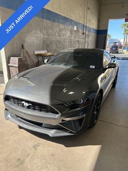 2019 Ford Mustang