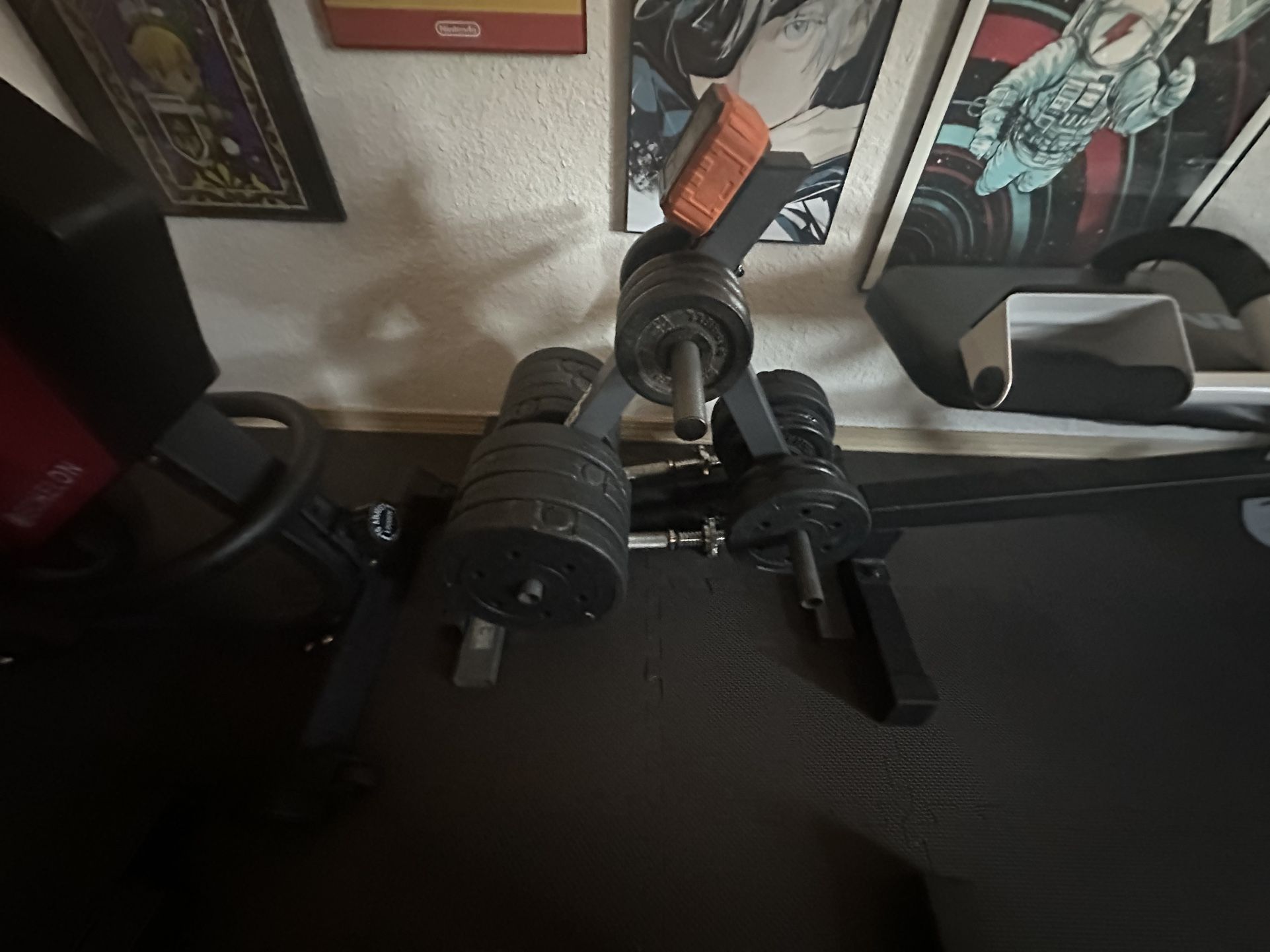 Plate Tree with Dumbbells 