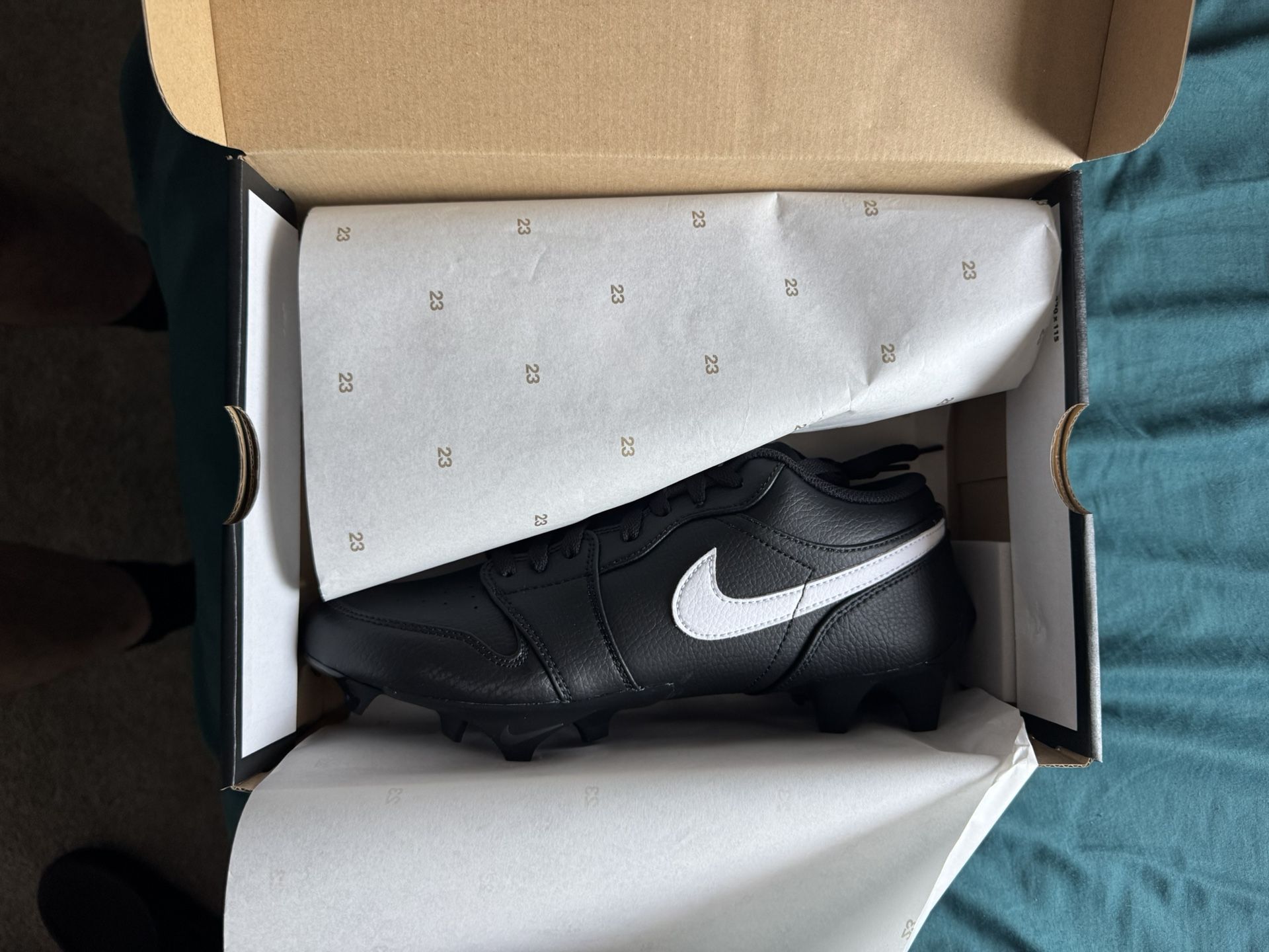 Nike Low Jordan Dunks Cleats
