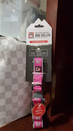 DOG COLLAR