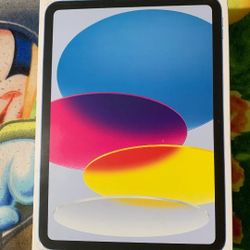 IPAD 10TH GEN 256 GB
