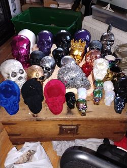  Variety Of Skulls