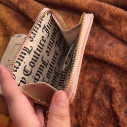 Small Pink Juicy Wallet 