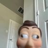 Chinniss