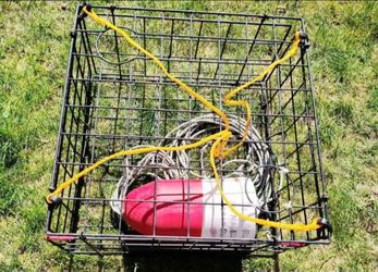 Crab Traps & Accessories